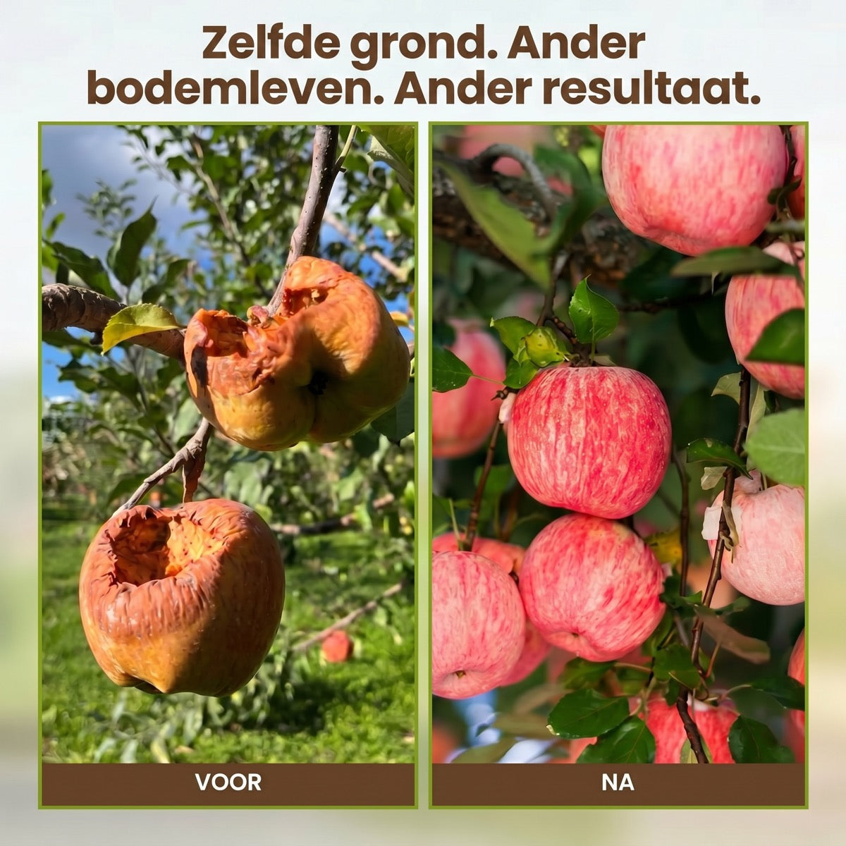 BodemBoost™ — Breng Je Bodem Terug Tot Leven